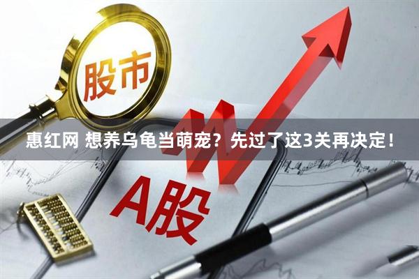 惠红网 想养乌龟当萌宠？先过了这3关再决定！