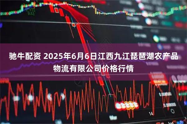 驰牛配资 2025年6月6日江西九江琵琶湖农产品物流有限公司价格行情